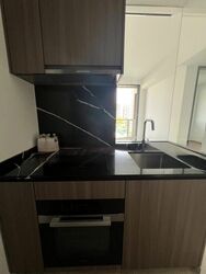 Irwell Hill Residences (D9), Apartment #575740481